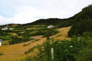 小平坡村 小平坡村