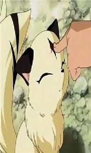 動漫寵物小精靈 動漫寵物小精靈