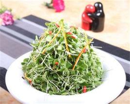 拌綠芽菜 拌綠芽菜