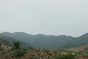 黑茶山苗木合作社 黑茶山苗木合作社