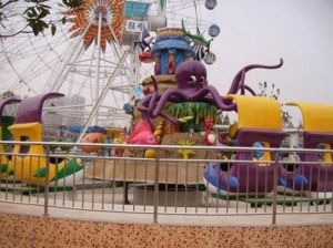 武漢和平遊樂園 武漢和平遊樂園