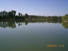 珍惜鳥類棲息地