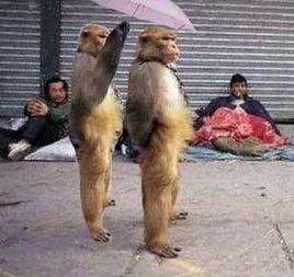 社會萬象 社會萬象