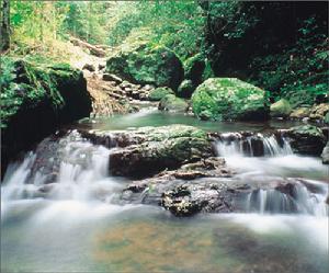 昆士蘭黃金海岸