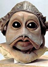 尼恩&middot;農布