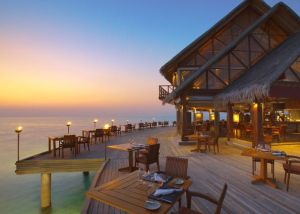 馬爾地夫安娜塔拉笛古島 馬爾地夫安娜塔拉笛古島