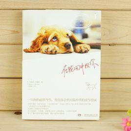 在輪迴中找你 在輪迴中找你