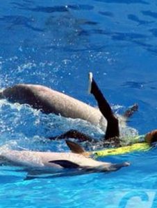 好整以暇 好整以暇