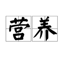 營養[漢語詞語]