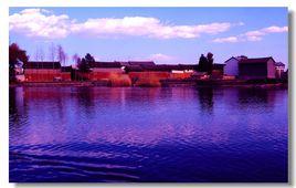 西湖村[河北省武安市西湖村]