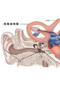 耳水不平衡 耳水不平衡
