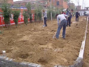 河南省南陽市宛城區金華鄉(圖3)