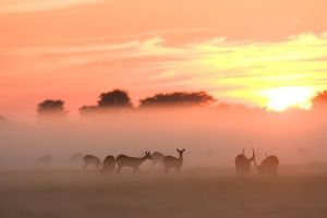 卡扎自然保護區的一部分——尚比亞卡富埃國家公園