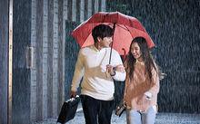 《愛上就會死的女人奉順》