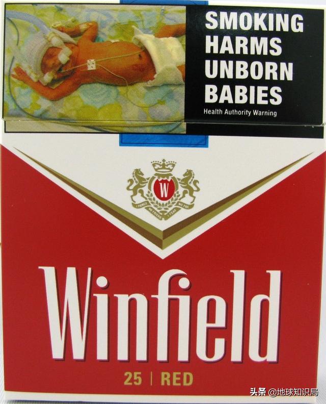 救命啊!國外的煙盒太可怕了,我想戒菸 | 地球知識局