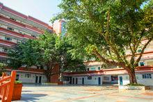 重慶市田家炳中學