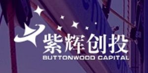 紫輝創投 紫輝創投