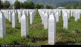 斯雷布雷尼察大屠殺 斯雷布雷尼察大屠殺