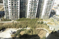 楓竹苑一區 楓竹苑一區