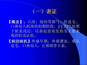 外邪侵入證 外邪侵入證