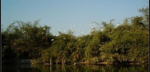 九江璜璣自然保護區 九江璜璣自然保護區