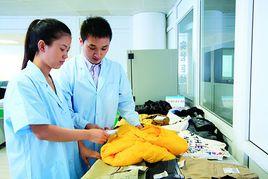 服裝品質檢驗員 服裝品質檢驗員