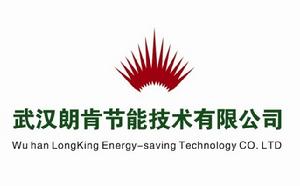 武漢朗肯技能技術有限公司logo