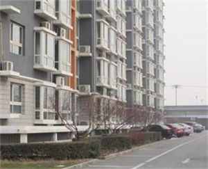 梅花莊村 梅花莊村