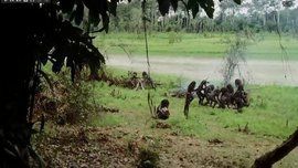 人食人實錄 人食人實錄