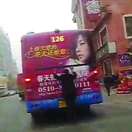 公交壁虎哥 公交壁虎哥