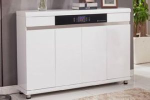 電子智慧型鞋櫃