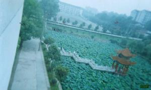 新化一中 新化一中