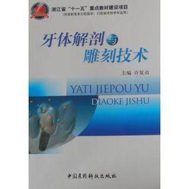 牙體解剖與雕刻技術 牙體解剖與雕刻技術