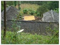 水草林自然村 水草林自然村