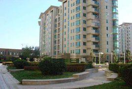 龍鼎花園3期 龍鼎花園3期