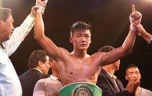 獲得WBC洲際金腰帶