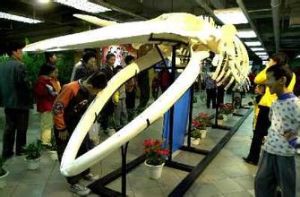 海南生物多樣性博物館