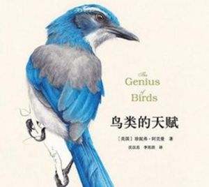 鳥類的天賦 鳥類的天賦