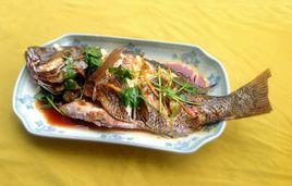 清蒸紅友魚 清蒸紅友魚