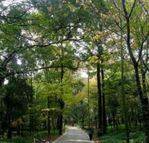 瑞岩山國家森林公園 瑞岩山國家森林公園