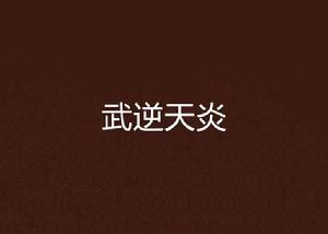 武逆天炎 武逆天炎