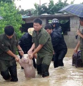 臉上笑嘻嘻心裡mmp 臉上笑嘻嘻心裡mmp