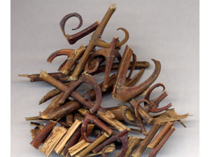 帽柱木鹼 帽柱木鹼