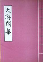 《天游閣集》封面