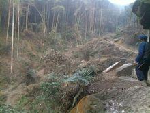 天城鎮[四川大竹縣天城鎮]