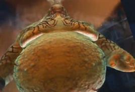 Temperance Temperance