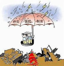 保險經濟效益 保險經濟效益