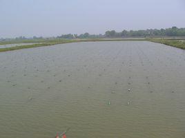 三橋鎮[懷寧縣下轄鎮]