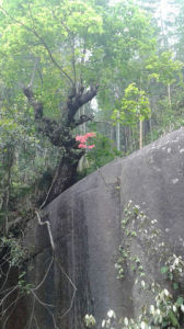 旅遊勝地 旅遊勝地