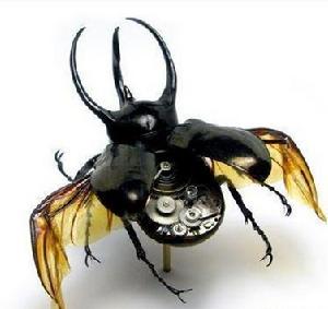 可控甲蟲結果示意圖